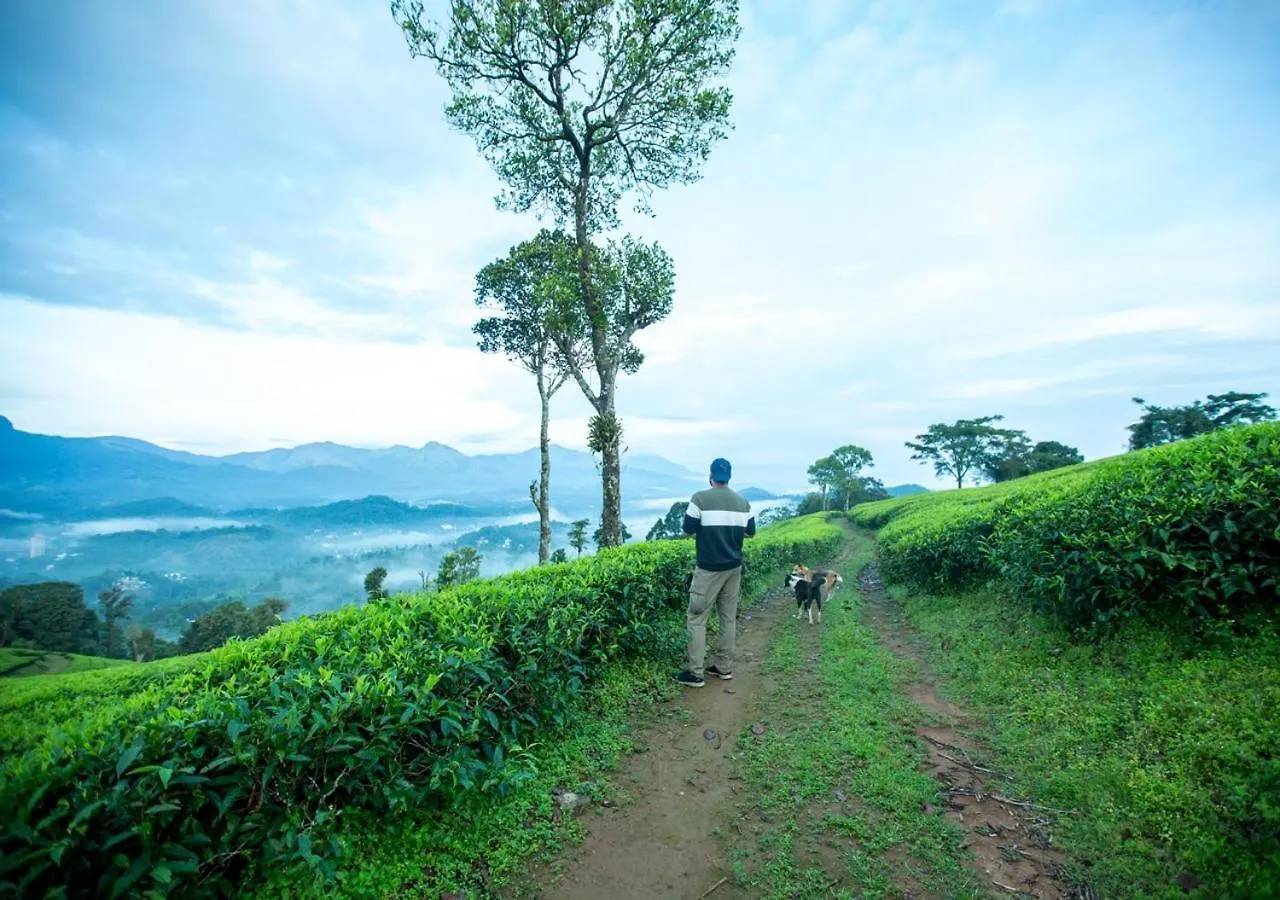 Wild Courtyard Wayanad Resort