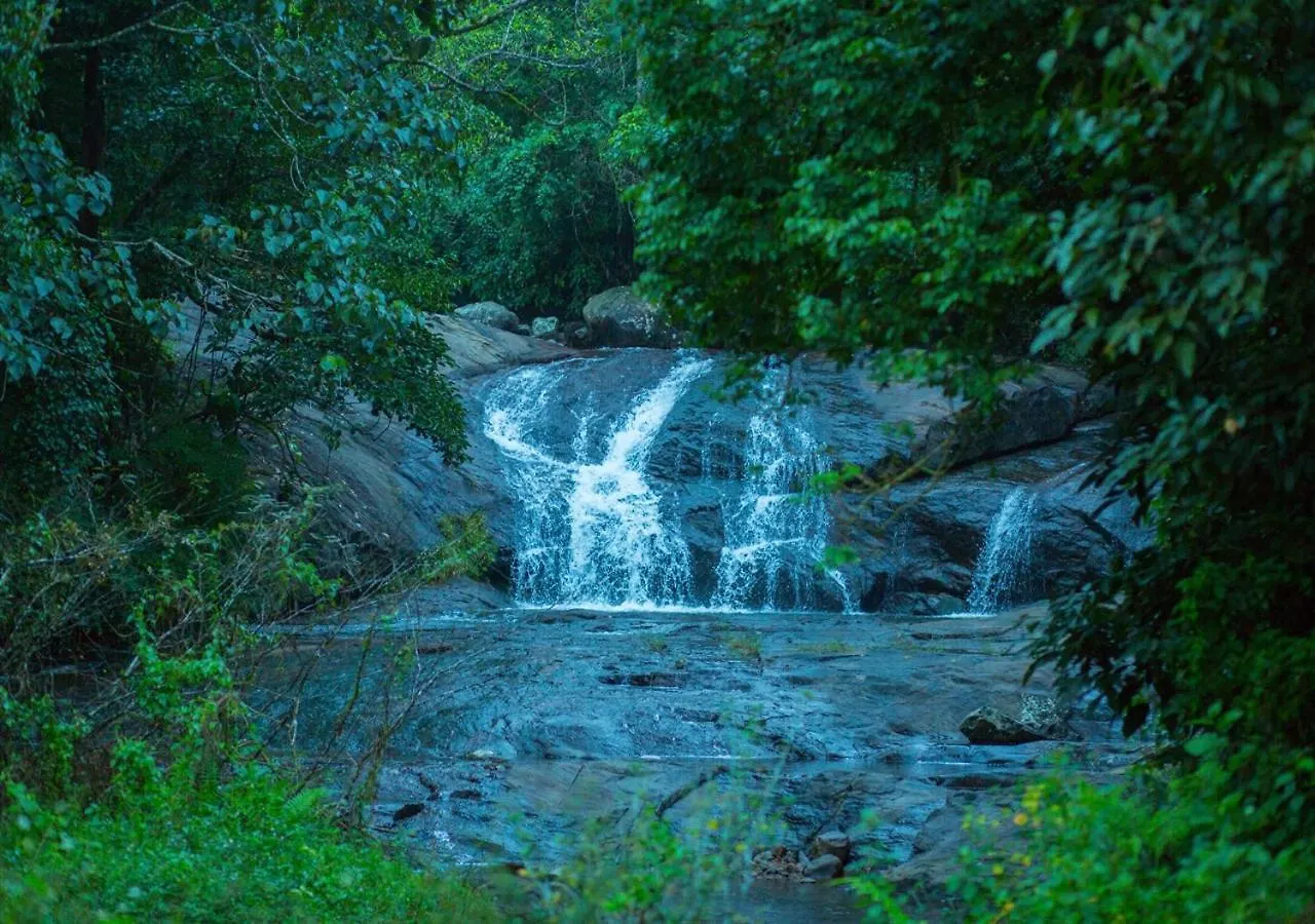 Wild Courtyard Wayanad Resort